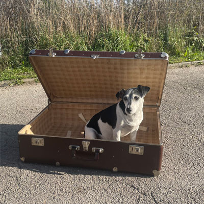 valise_ancienne_bois